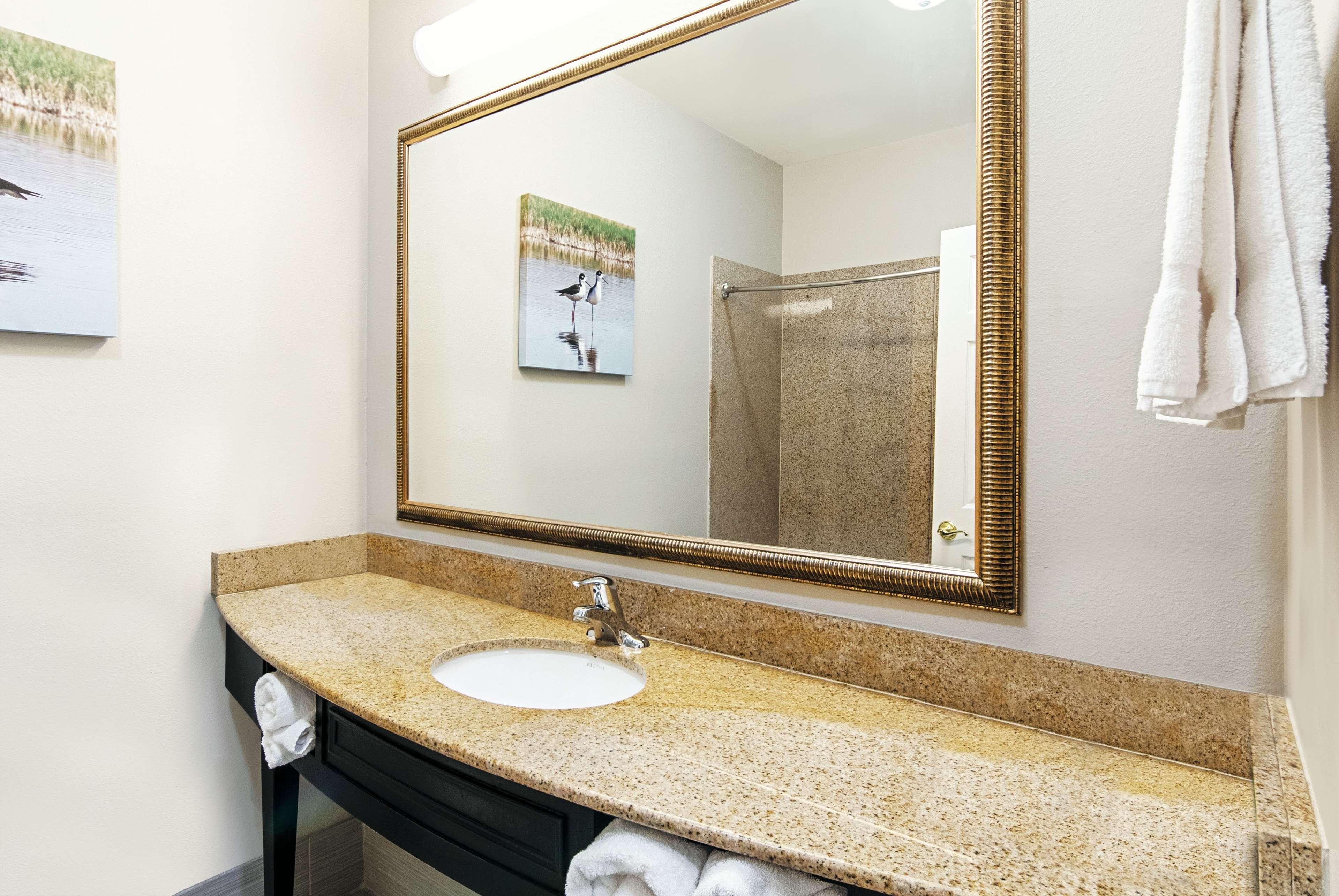 La Quinta By Wyndham Alamo-Mcallen East Exterior photo